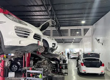 Green Palm Auto Electrical Rep