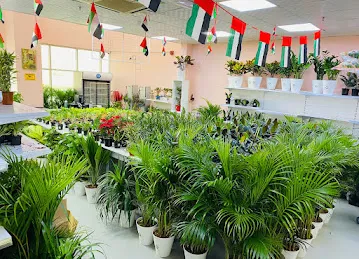 Green Touch Flowers & Plants LLC