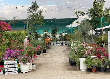Greencore Flowers & Ornamental Plants Trading L.L.C