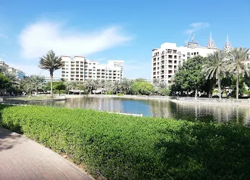 Greens & The Views
