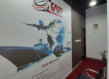 GSM Shipping Cargo LLC