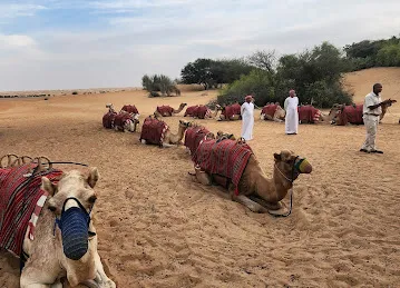 Gulf Circle Tours جلف سيركل تورز