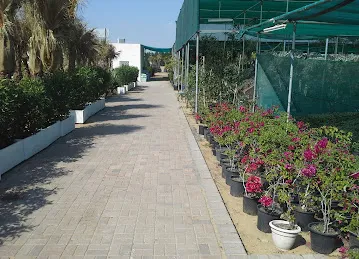 Gulf Gardens Landscape LLC