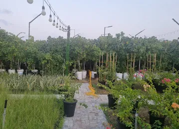 Gulf nursery, Al Bahyah Branch
