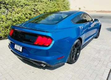 Gulf Tiger Car Rental LLC