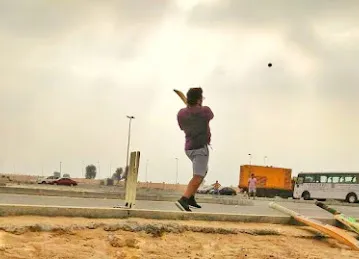 Guys Cricket Pitch