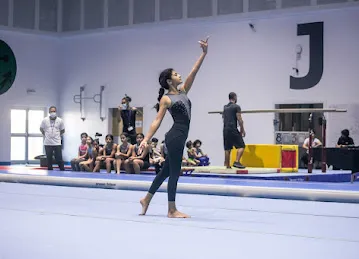 Gymnastex DIP