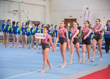 Gymnastex DIP