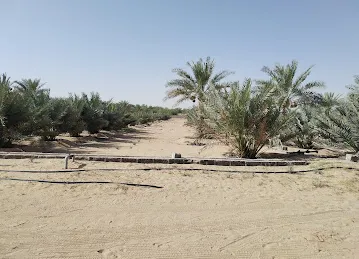 Habab, Roundabout 2