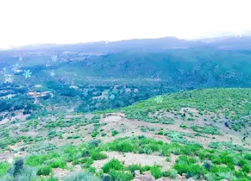 Haider Saeed Restaurant
