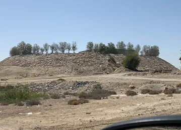 Hamad Farm