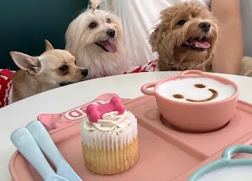 Happy Bark Day