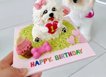 Happy Bark Day