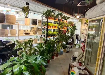 Happy Pot Plants and Flowers LLC