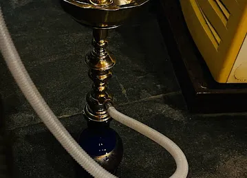 Harmony Orchestra shisha palace