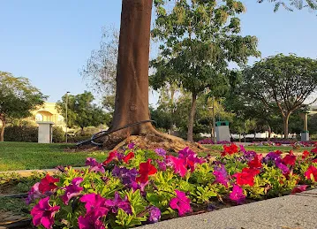 Hasfiya Park