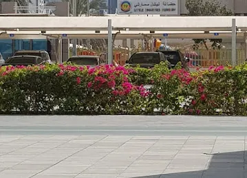 حضانة