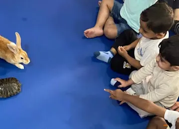 حضانة براعم الطفولة