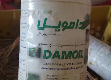 حديقة النساء - جبل عمر
