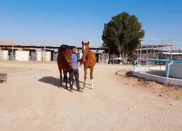 حديقة النايفه2