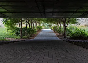 حديقة عامة Public Garden