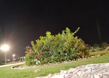 حديقة تل الزعفران