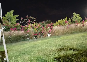 حديقة تل الزعفران