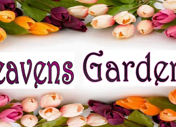 Heavens Garden General Trading LLC