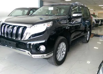 HIGER MOTORS (L.L.C)