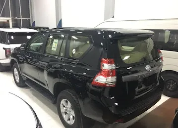 HIGER MOTORS (L.L.C)