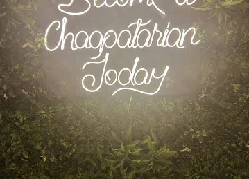 High On Chaap