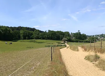 Home