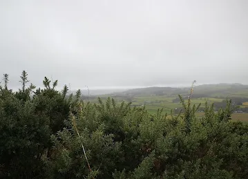 Horizon For Gifts