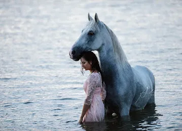 Horse Beach & Desert Riding | Abu Dhabi & Dubai
