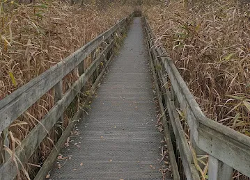 HS Lounge