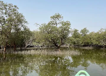 Husaak Adventures - Eastern Mangroves