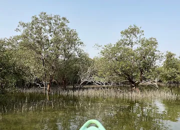 Husaak Adventures - Eastern Mangroves