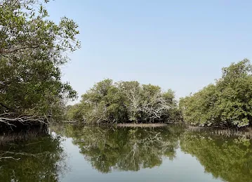 Husaak Adventures - Eastern Mangroves