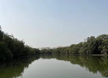 Husaak Adventures - Eastern Mangroves