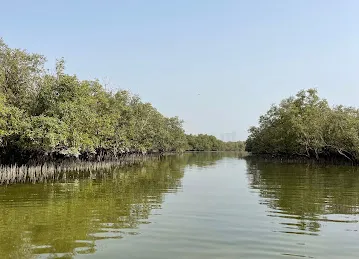Husaak Adventures - Eastern Mangroves