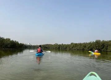 Husaak Adventures - Eastern Mangroves