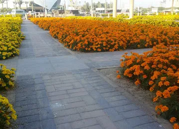 ِEtihad Museum Park