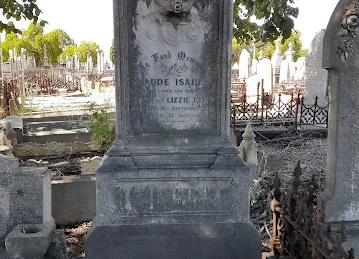 Il ferno Uno