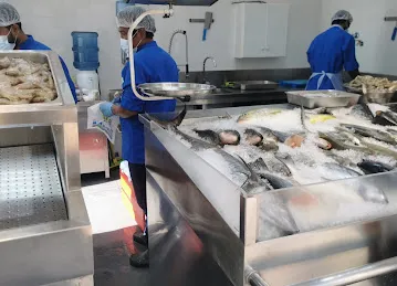 iLLiES FISH TRADING-TOURIST CLUB AREA