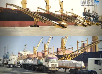 IMGS Group