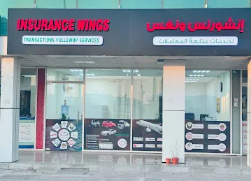 Insurance Wings