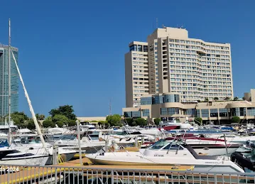 InterContinental Abu Dhabi Marina