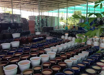 Intraflora Nursery LLC