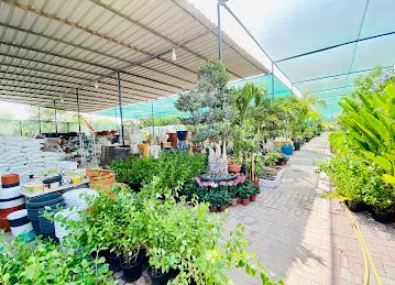Intraflora Nursery LLC