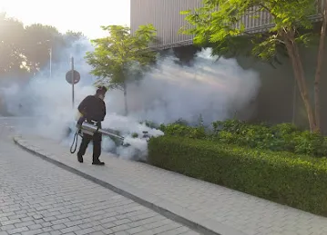 Intrepid Pest Control Service - Dubai - Intrepid Groupe